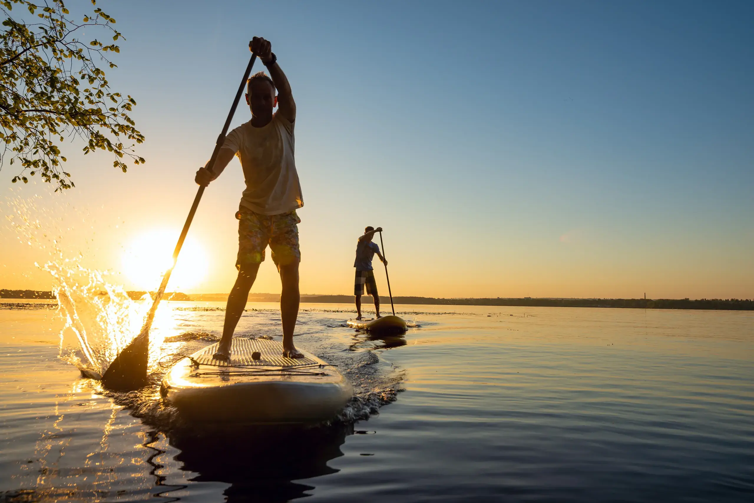 Släpp loss surfen - inte pengarna!